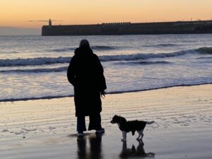 person walking a dog along the shoreline at sunrise, reflecting simple moments of connection and everyday gratitude